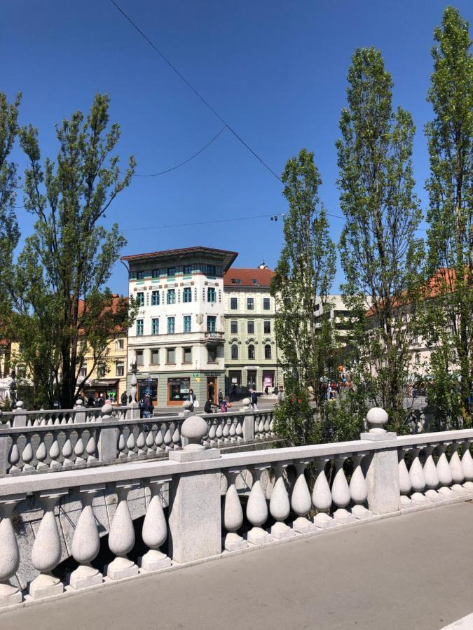 Triple Bridge Ljubljana Apartman Kültér fotó