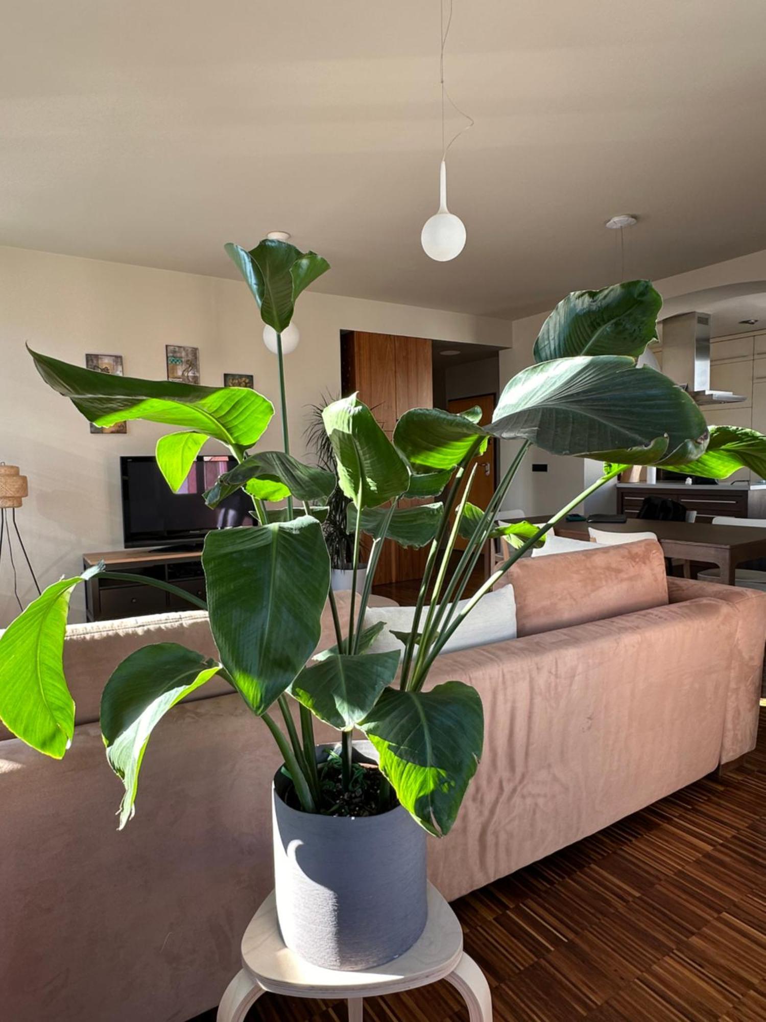 Triple Bridge Ljubljana Apartman Kültér fotó